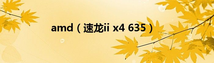 amd(速龙ii x4 635)