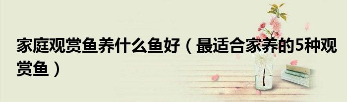 家庭观赏鱼养什么鱼好(最适合家养的5种观赏鱼)