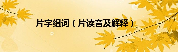 片字组词（片读音及解释）