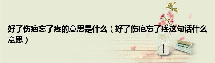 好了伤疤忘了疼的意思是什么(好了伤疤忘了疼这句话什么意思)