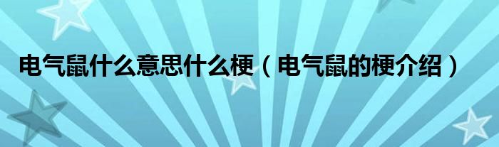 电气鼠什么意思什么梗（电气鼠的梗介绍）