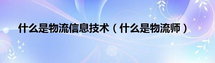 什么是物流信息技术(什么是物流师)