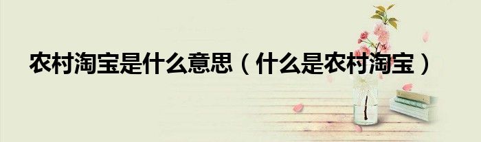 农村淘宝是什么意思(什么是农村淘宝)