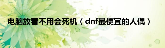 电脑放着不用会死机(dnf最便宜的人偶)