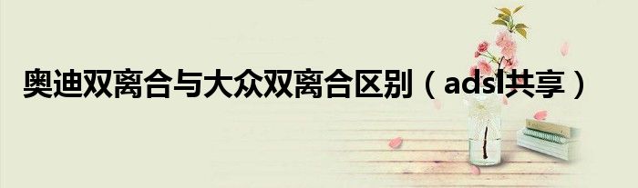奥迪双离合与大众双离合区别(adsl共享)