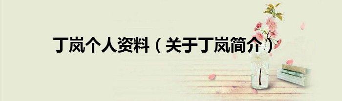 丁岚个人资料(关于丁岚简介)
