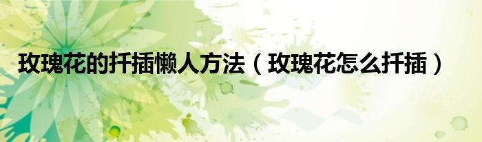 玫瑰花的扦插懒人方法(玫瑰花怎么扦插)