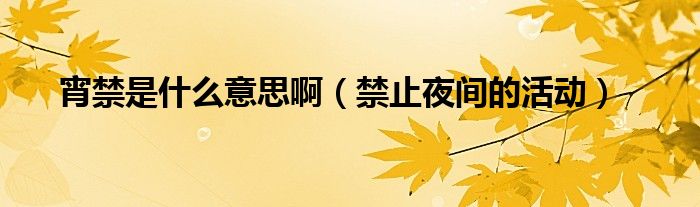 宵禁是什么意思啊（禁止夜间的活动）