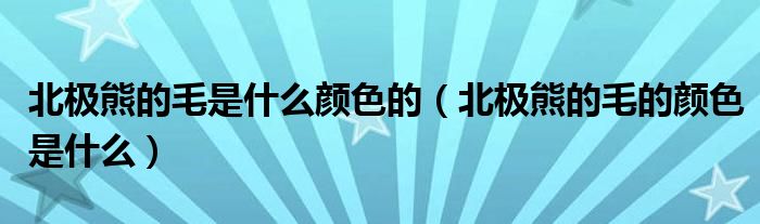 北极熊的毛是什么颜色的（北极熊的毛的颜色是什么）