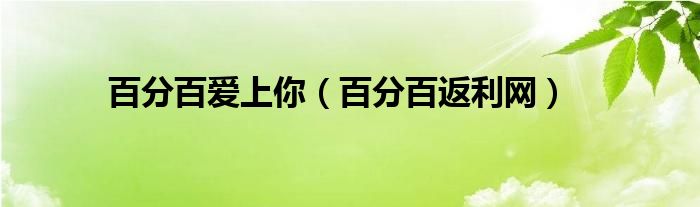 百分百爱上你(百分百返利网)