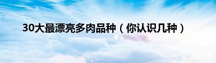30大最漂亮多肉品种(你认识几种)