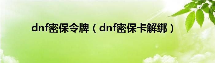 dnf密保令牌(dnf密保卡解绑)