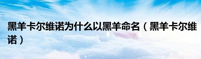黑羊卡尔维诺为什么以黑羊命名(黑羊卡尔维诺)