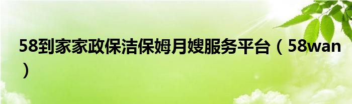 58到家家政保洁保姆月嫂服务平台（58wan）