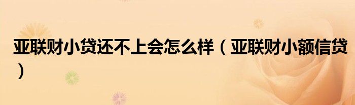 亚联财小贷还不上会怎么样(亚联财小额信贷)