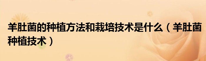 羊肚菌的种植方法和栽培技术是什么(羊肚菌种植技术)