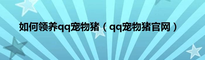 如何领养qq宠物猪(qq宠物猪官网)