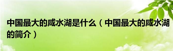 中国最大的咸水湖是什么(中国最大的咸水湖的简介)