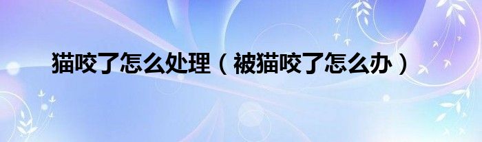 猫咬了怎么处理(被猫咬了怎么办)