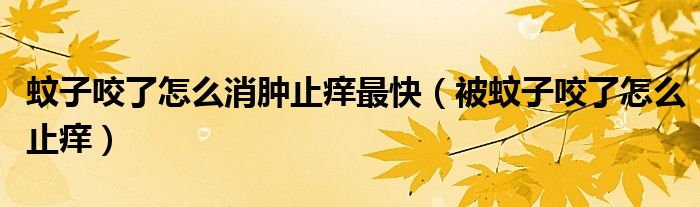 蚊子咬了怎么消肿止痒最快(被蚊子咬了怎么止痒)