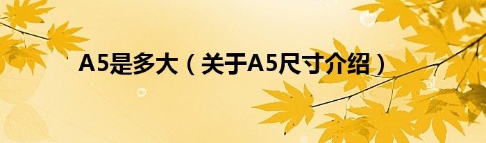 A5是多大(关于A5尺寸介绍)