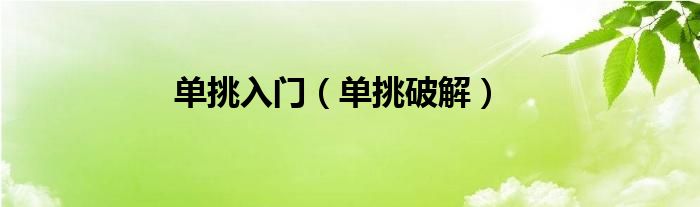 单挑入门(单挑破解)
