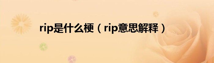 rip是什么梗(rip意思解释)