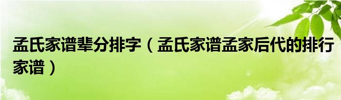孟氏家谱辈分排字(孟氏家谱孟家后代的排行家谱)