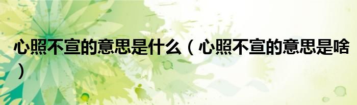 心照不宣的意思是什么(心照不宣的意思是啥)