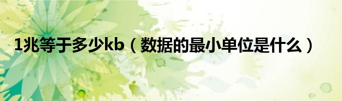 1兆等于多少kb(数据的最小单位是什么)