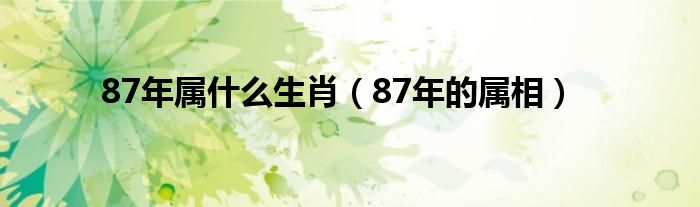 87年属什么生肖(87年的属相)