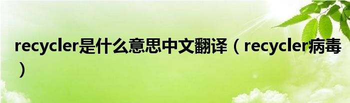recycler是什么意思中文翻译(recycler病毒)
