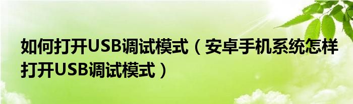 如何打开USB调试模式(安卓手机系统怎样打开USB调试模式)