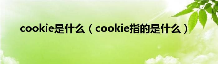 cookie是什么(cookie指的是什么)