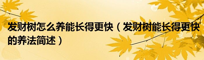 发财树怎么养能长得更快(发财树能长得更快的养法简述)