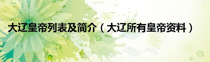 大辽皇帝列表及简介(大辽所有皇帝资料)