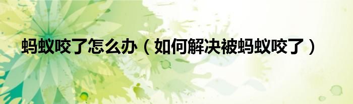 蚂蚁咬了怎么办(如何解决被蚂蚁咬了)