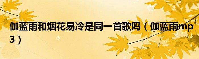 伽蓝雨和烟花易冷是同一首歌吗(伽蓝雨mp3)