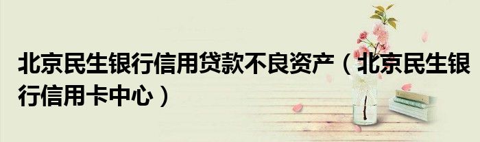 北京民生银行信用贷款不良资产（北京民生银行信用卡中心）