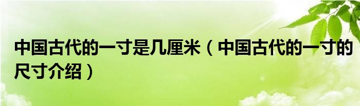 中国古代的一寸是几厘米(中国古代的一寸的尺寸介绍)