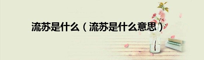 流苏是什么(流苏是什么意思)