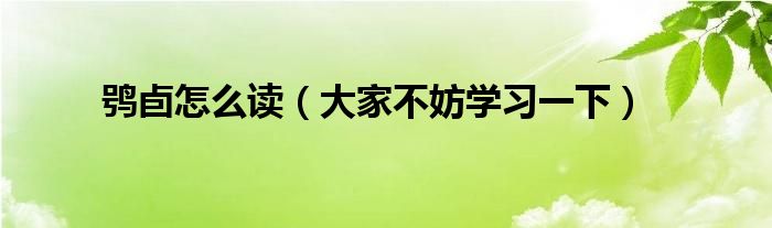 鸮卣怎么读(大家不妨学习一下)