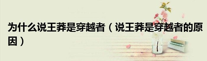 为什么说王莽是穿越者(说王莽是穿越者的原因)