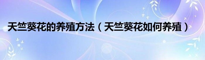 天竺葵花的养殖方法(天竺葵花如何养殖)