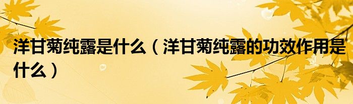 洋甘菊纯露是什么(洋甘菊纯露的功效作用是什么)