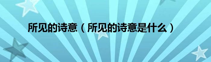 所见的诗意(所见的诗意是什么)