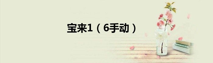 宝来1（6手动）