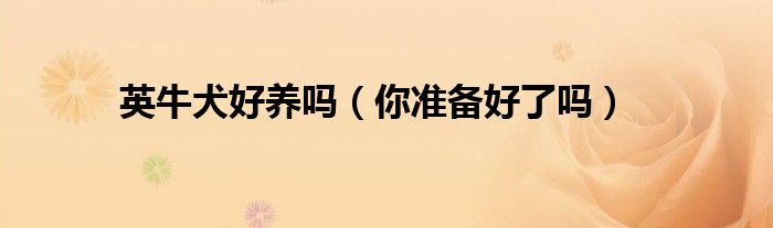 英牛犬好养吗(你准备好了吗)