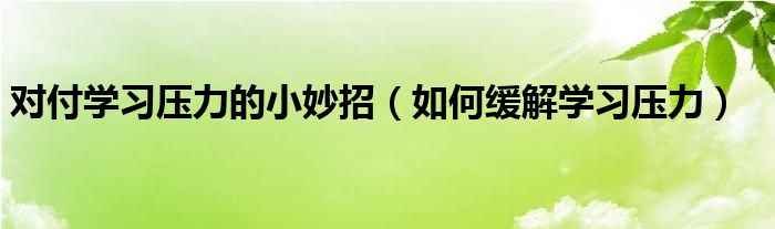 对付学习压力的小妙招(如何缓解学习压力)