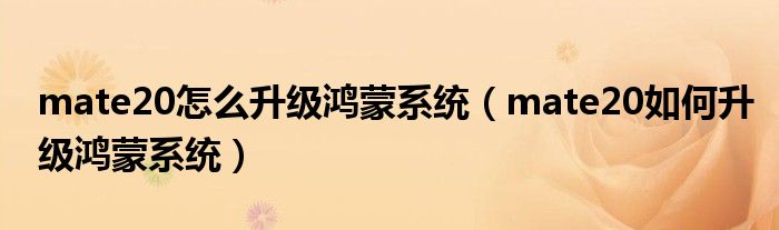 mate20怎么升级鸿蒙系统(mate20如何升级鸿蒙系统)
